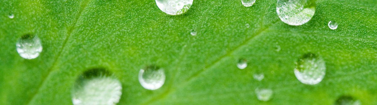 nettoyage spéciaux après sinistre ou panneaux solaires